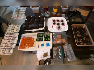 Police takes down a network dedicated to illegal drug sales and delivery
