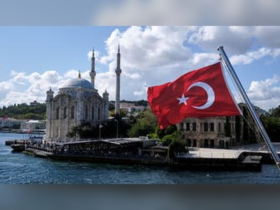 Turkish court releases journalist detained under ‘disinformation’ law